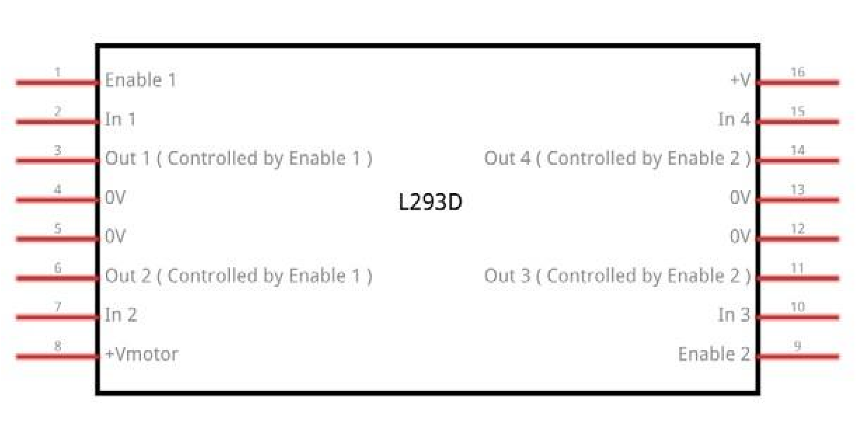 L293D intern